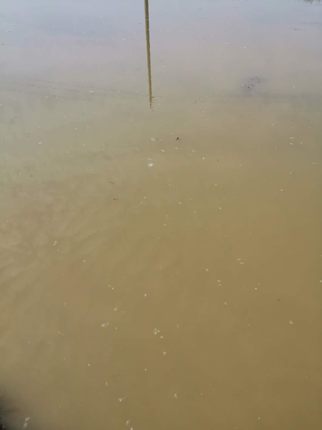 泥浑水.jpg